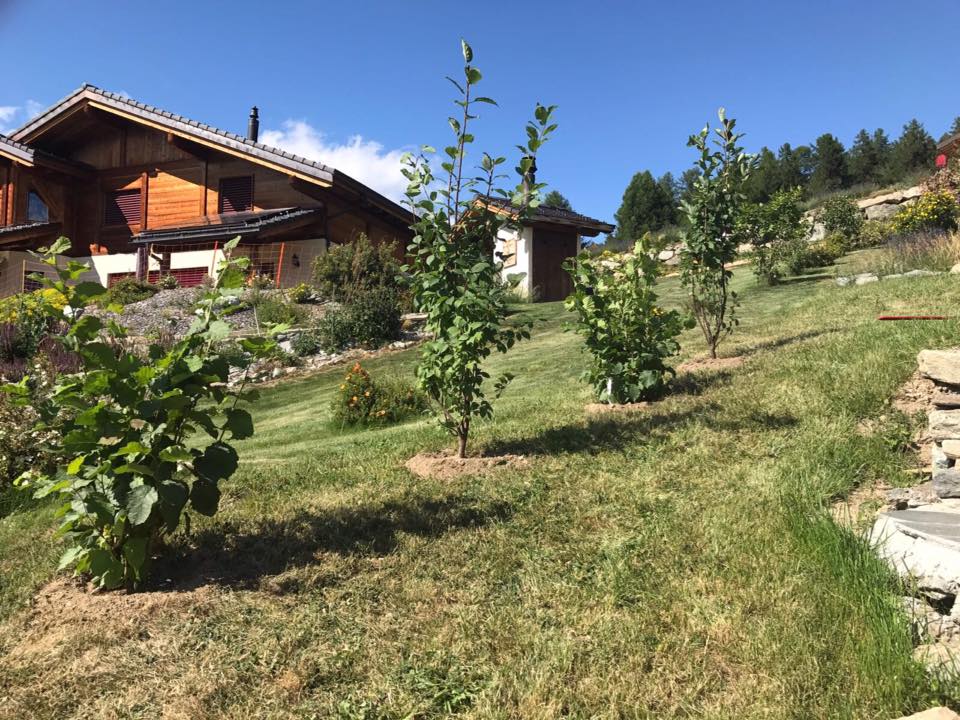 Entretien de jardin